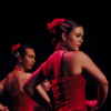 Arteflamenco trupp esinemas