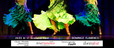 Domingo Flamenco
