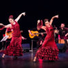 Etendus-Ivan-Gallego&Arte-Flamenco-Iberofest-2018-Asturias