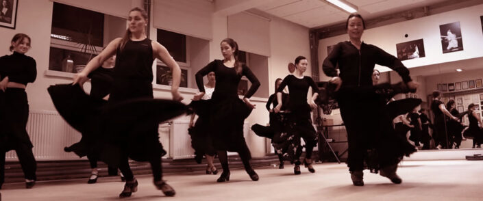 video_screenshot Arteflamenco harjutamas